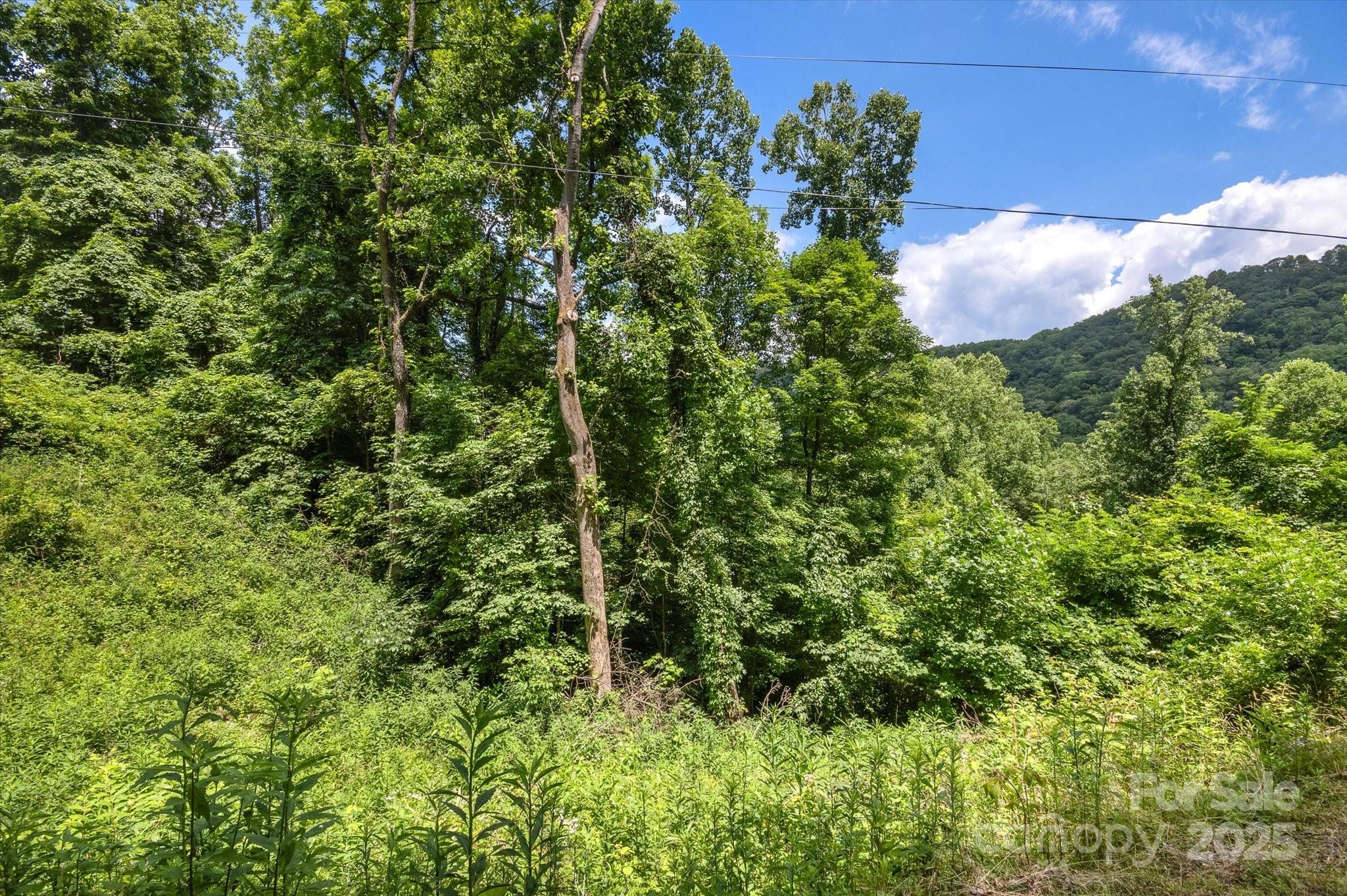 99999 Secluded Valley Road Marshall NC 28743