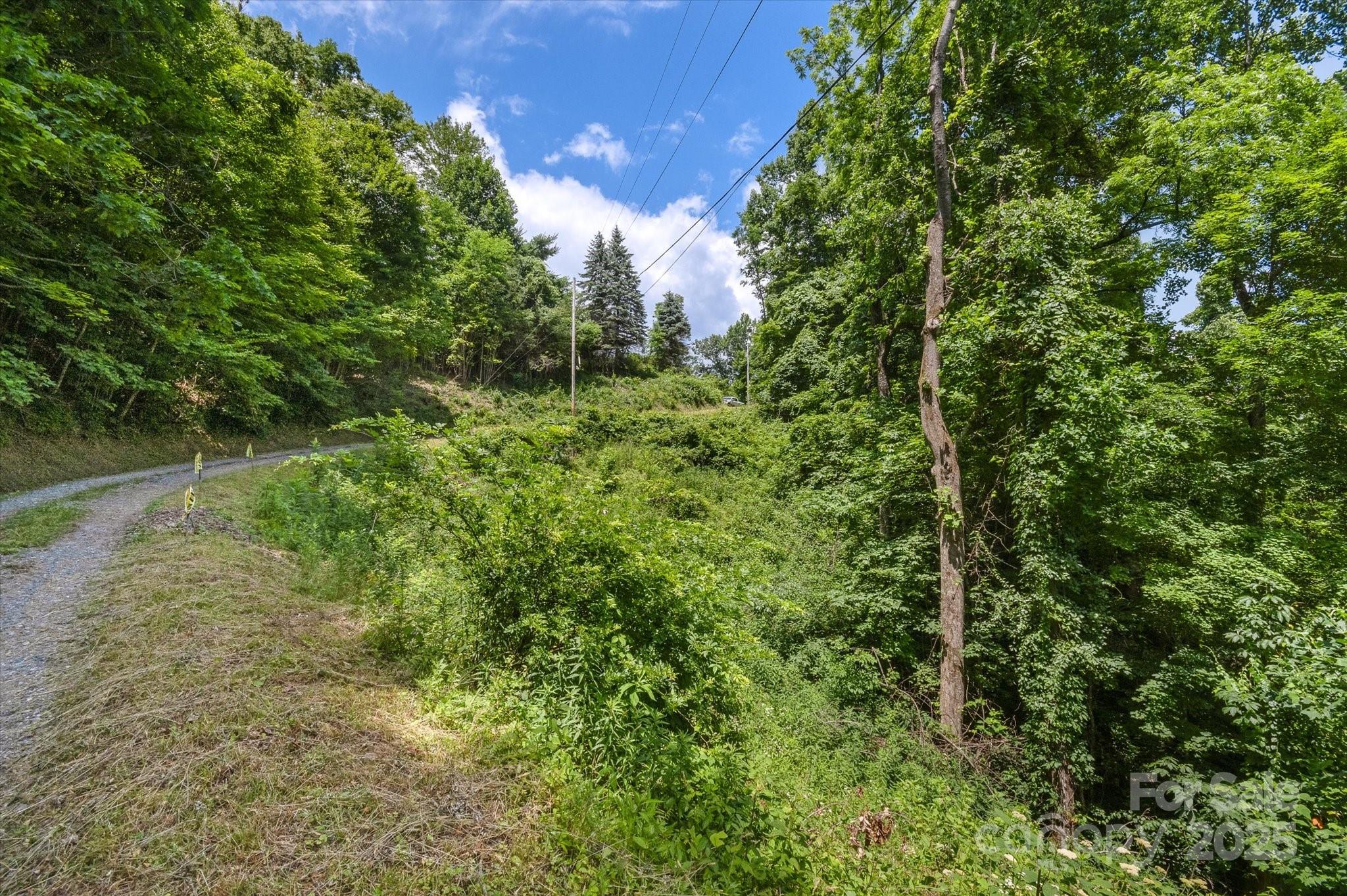 99999 Secluded Valley Road Marshall NC 28743