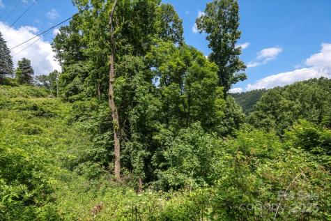 99999 Secluded Valley Road Marshall NC 28743