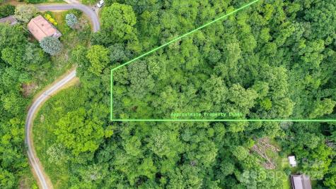 99999 Secluded Valley Road Marshall NC 28743