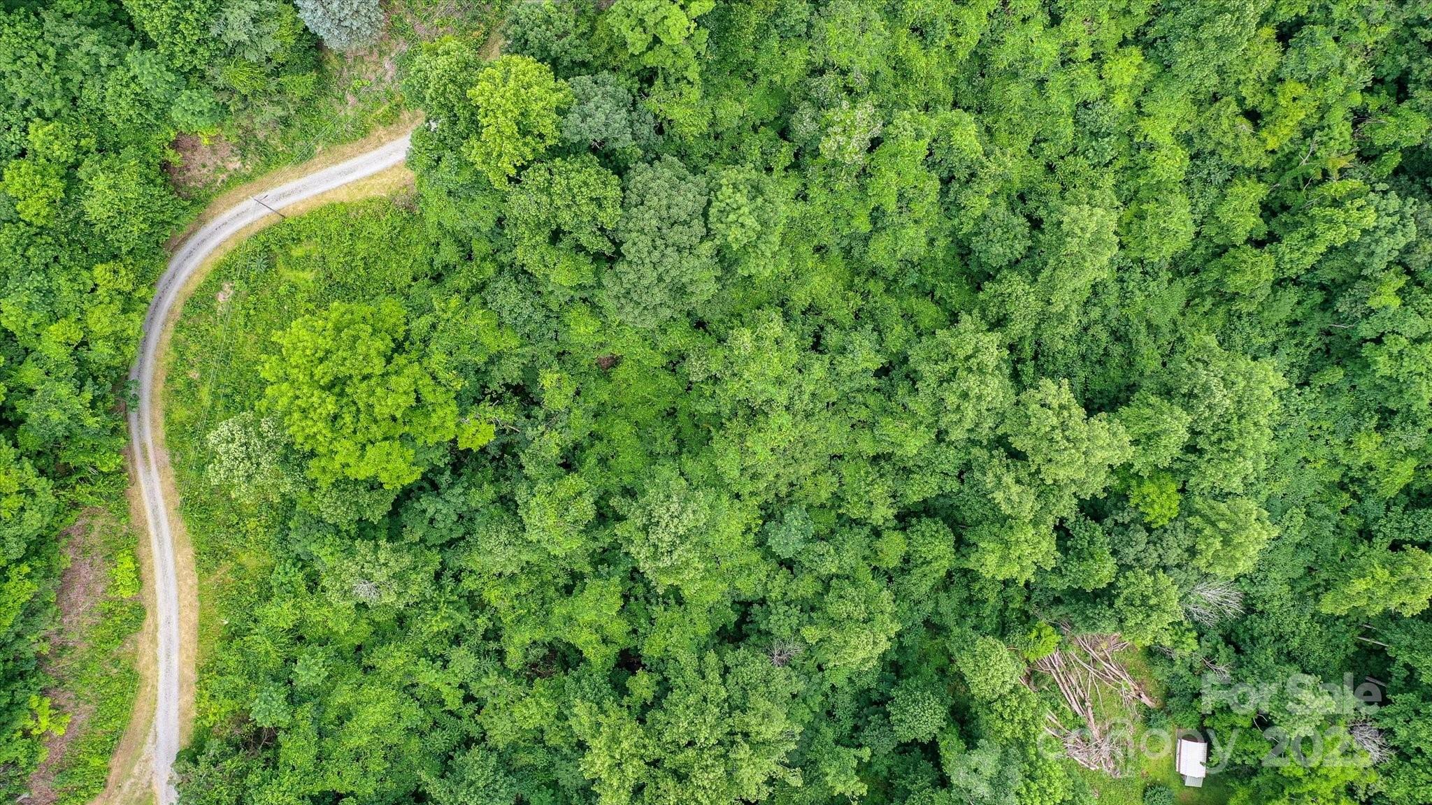 99999 Secluded Valley Road Marshall NC 28743
