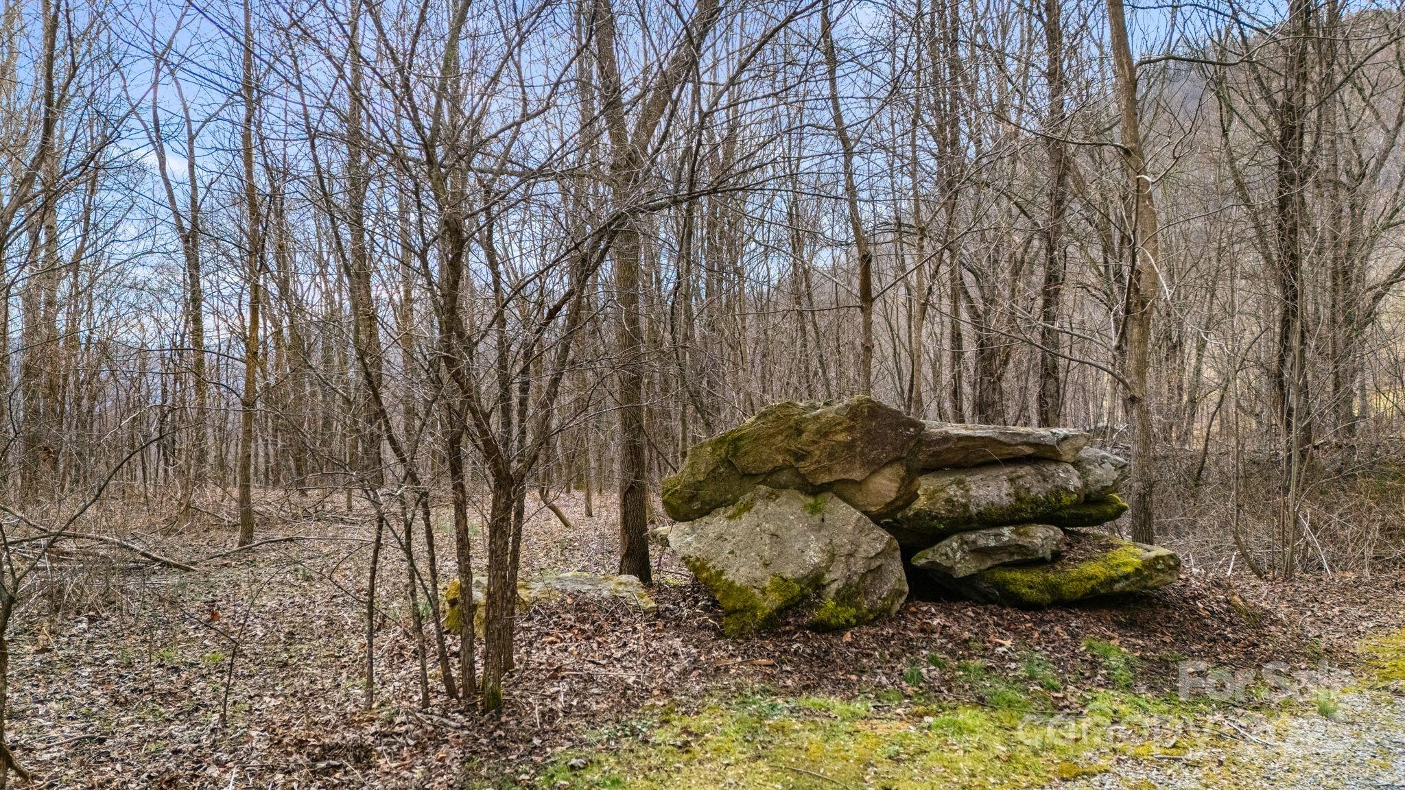 Tbd Spotted Fawn Lane Waynesville NC 28785