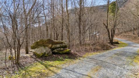 Tbd Spotted Fawn Lane Waynesville NC 28785