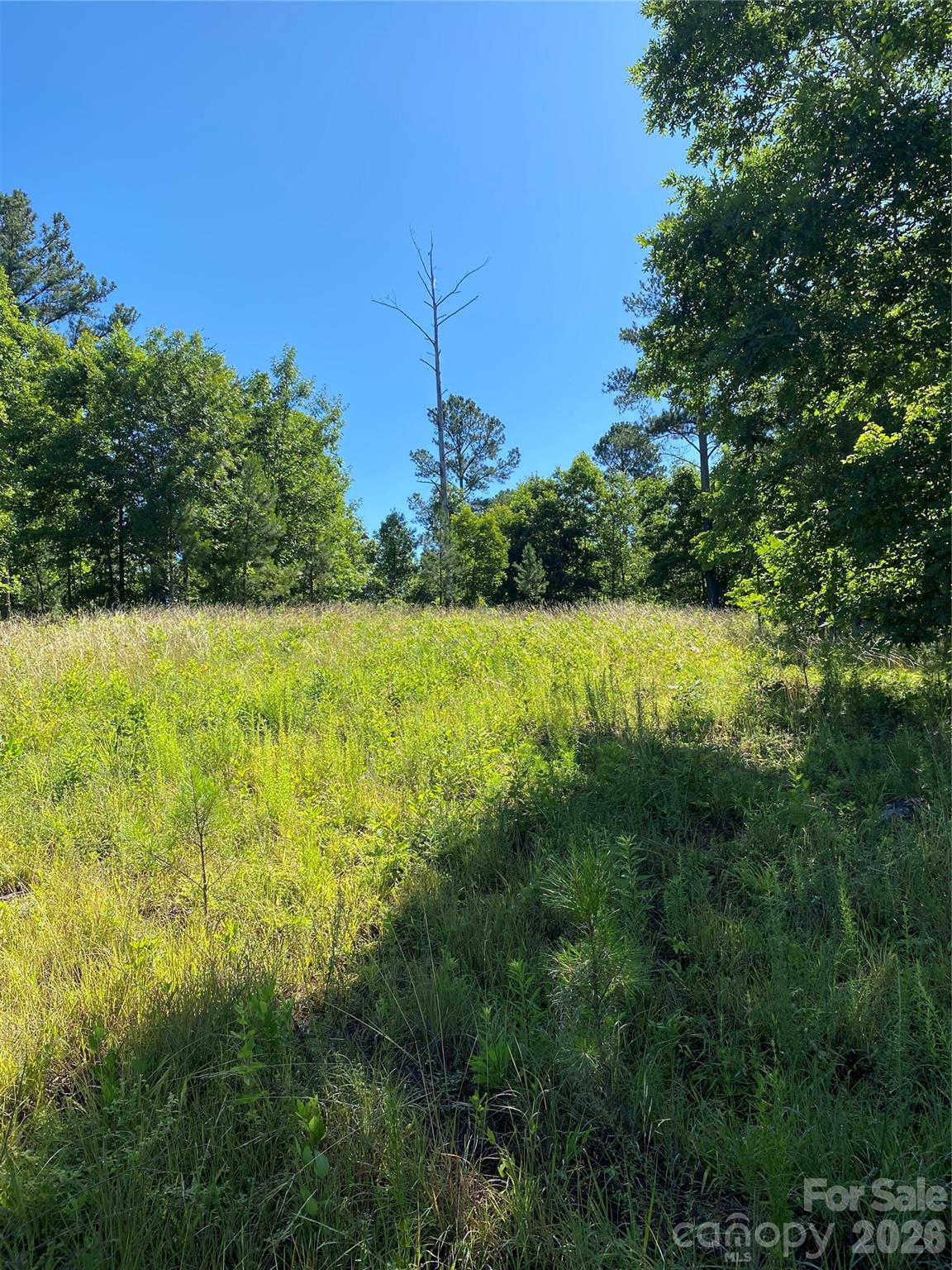 2108 Island View Lane Connelly Springs NC 28612