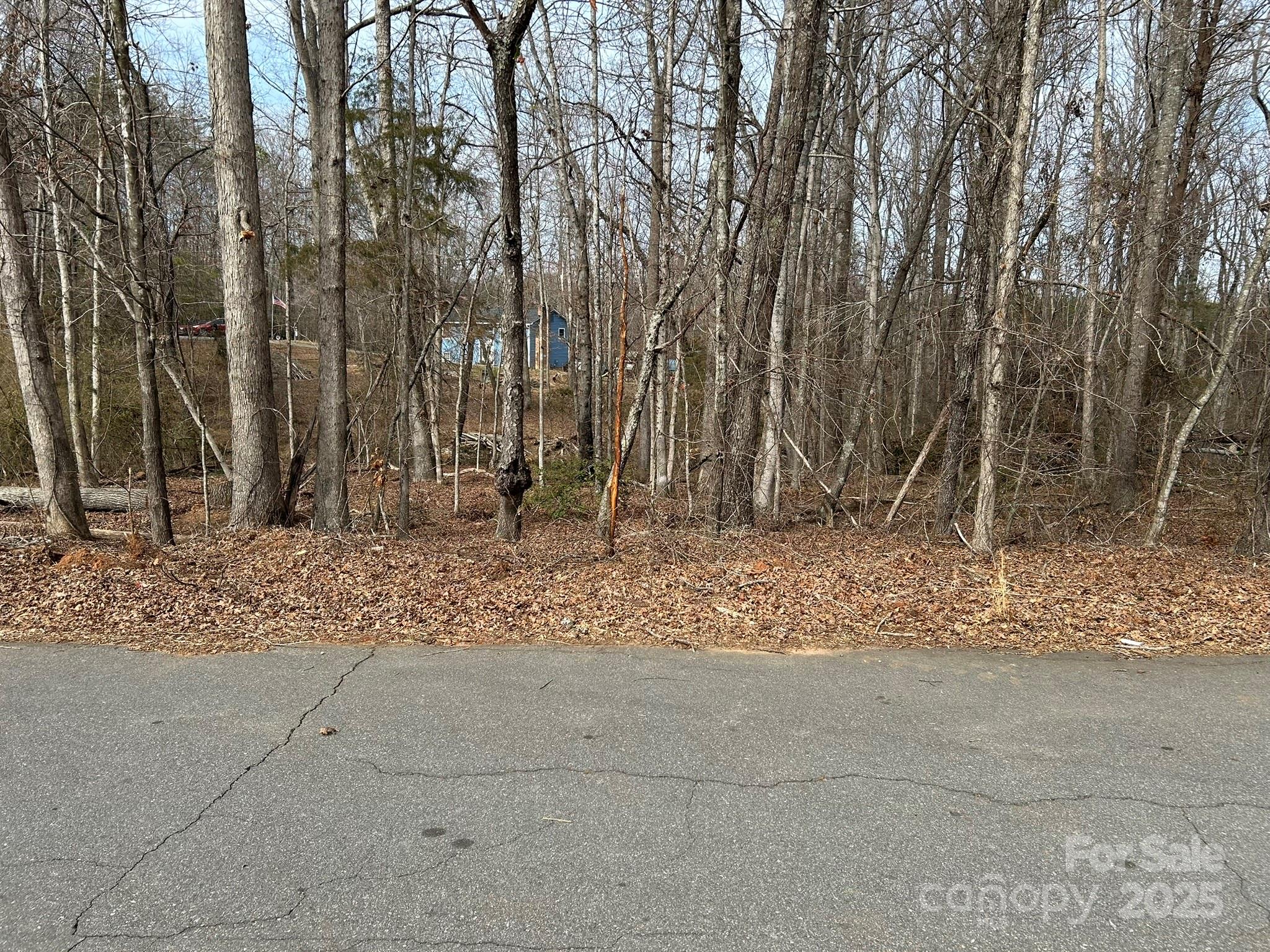60 & 86 W Melissa Drive Forest City NC 28043