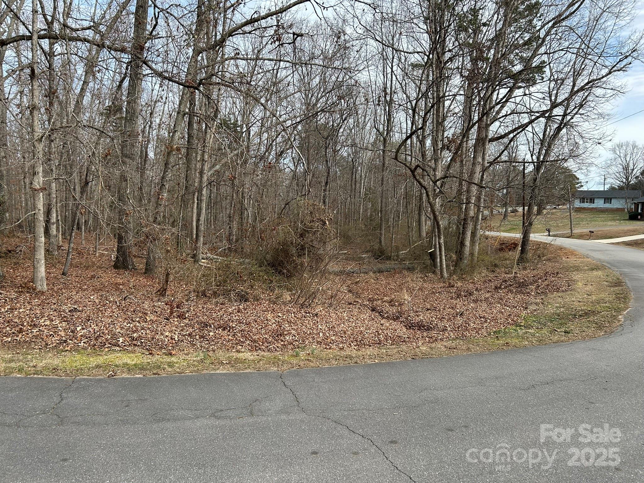 60 & 86 W Melissa Drive Forest City NC 28043