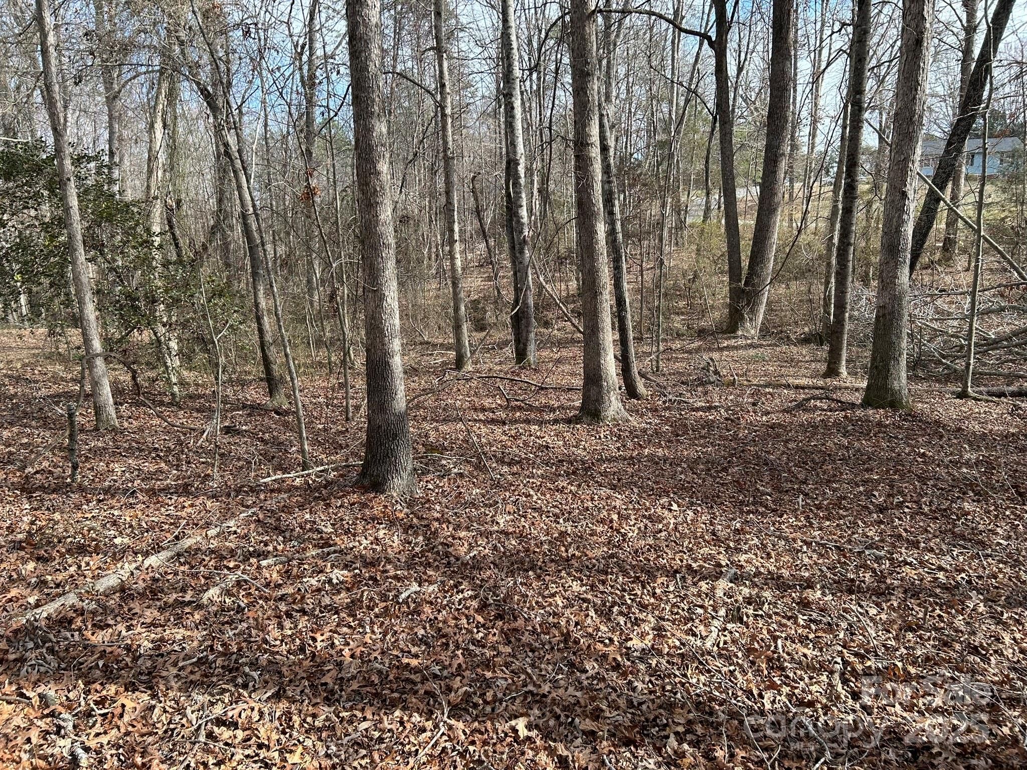 60 & 86 W Melissa Drive Forest City NC 28043