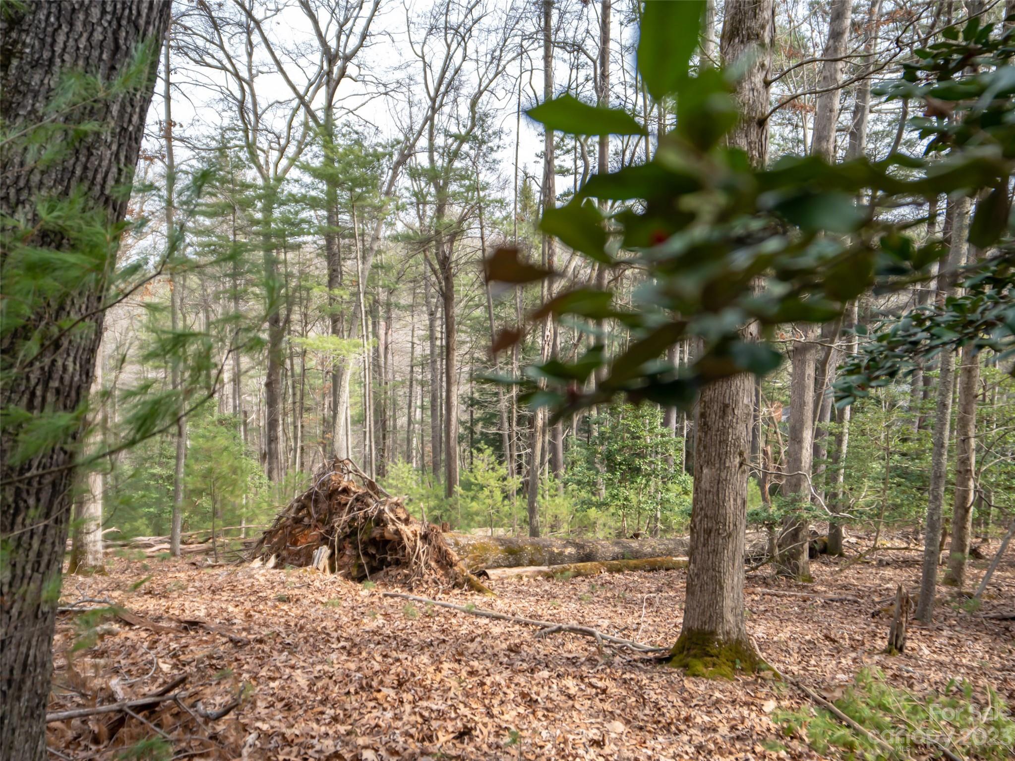 9999 Cedar Hill Drive Asheville NC 28803