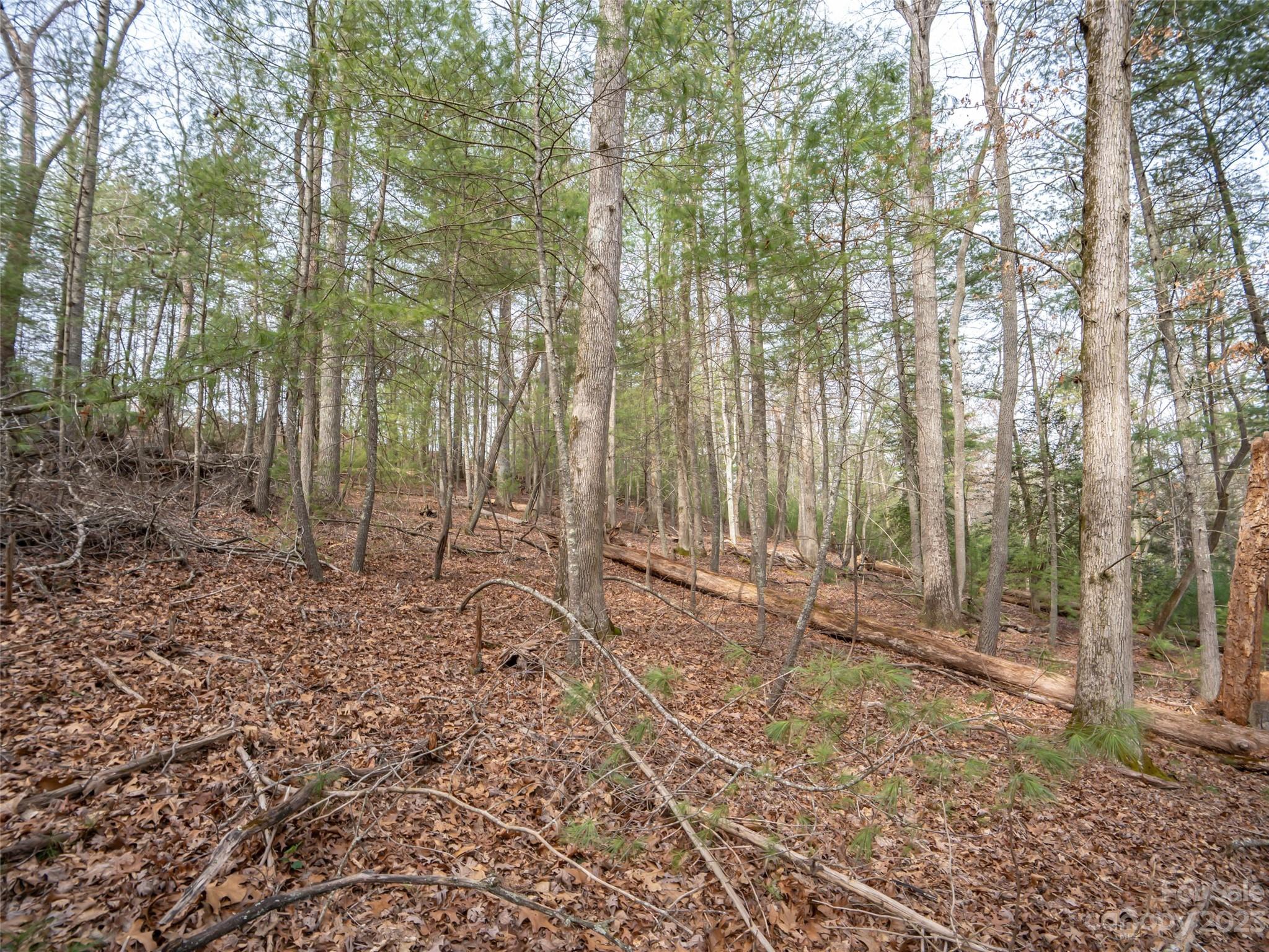 9999 Cedar Hill Drive Asheville NC 28803
