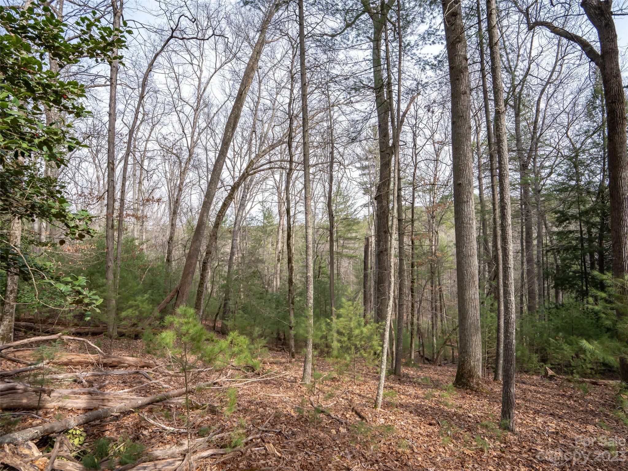 9999 Cedar Hill Drive Asheville NC 28803