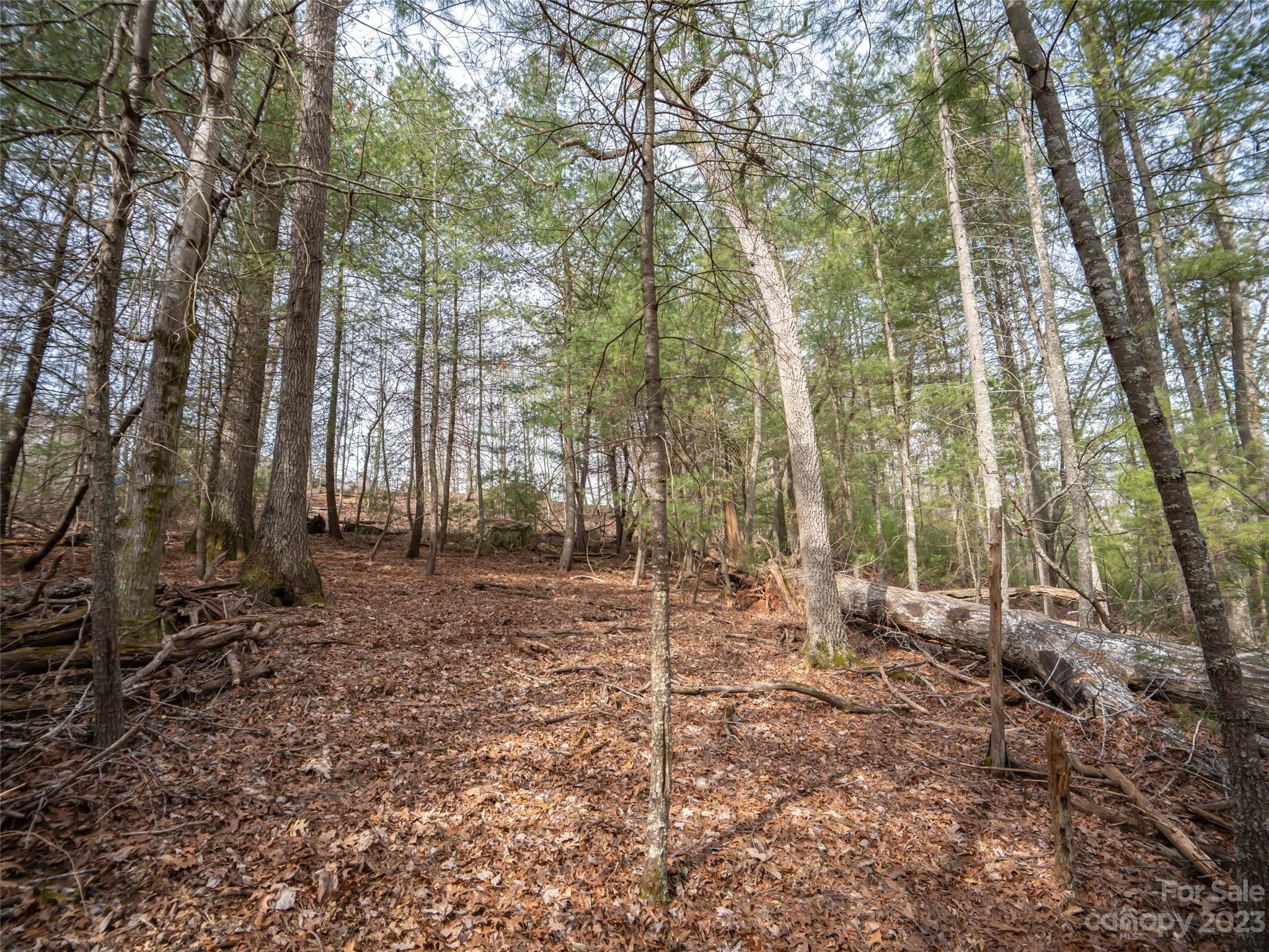 9999 Cedar Hill Drive Asheville NC 28803