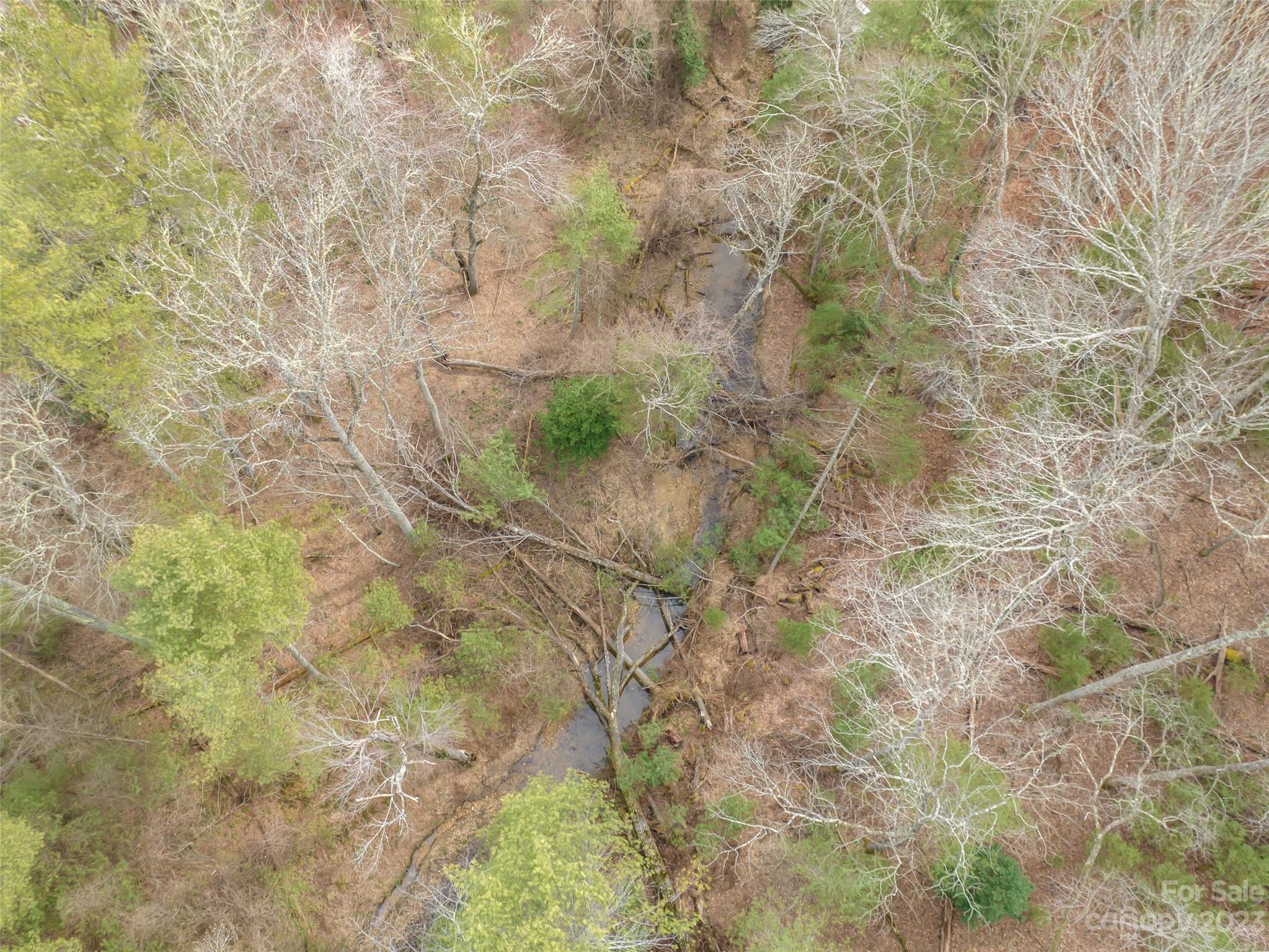 9999 Cedar Hill Drive Asheville NC 28803