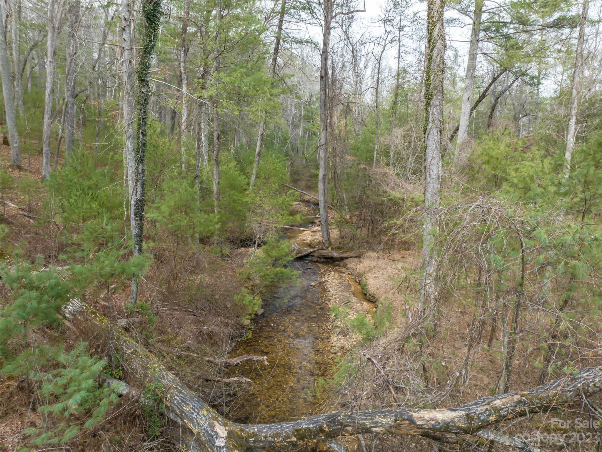 9999 Cedar Hill Drive Asheville NC 28803
