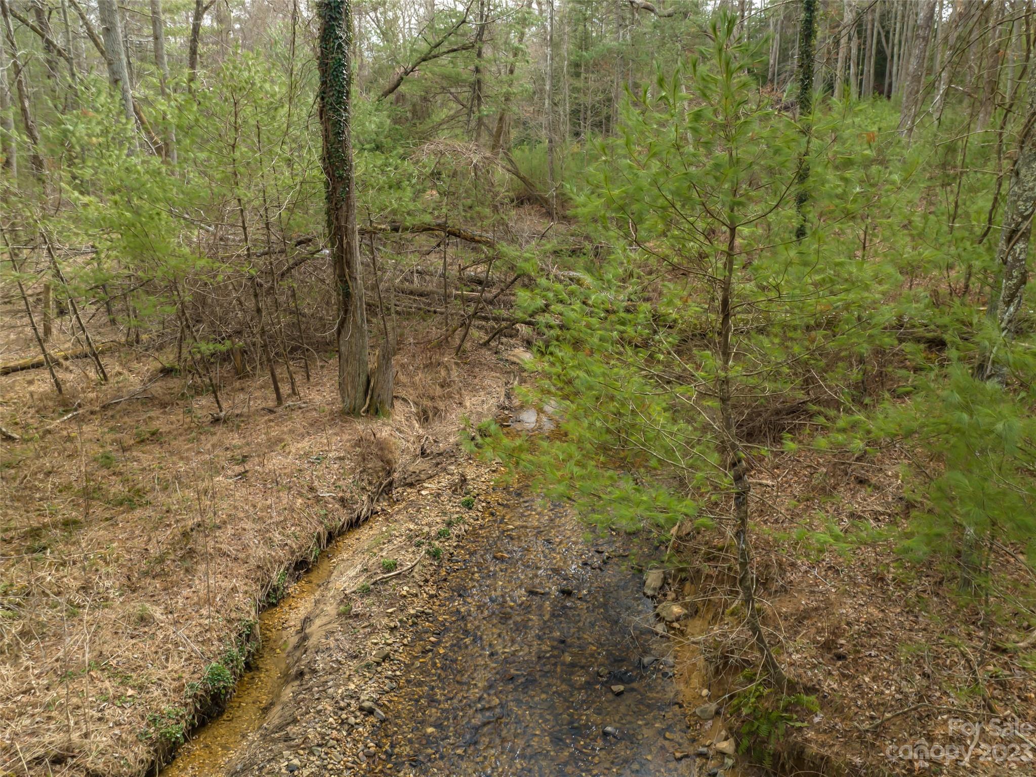 9999 Cedar Hill Drive Asheville NC 28803