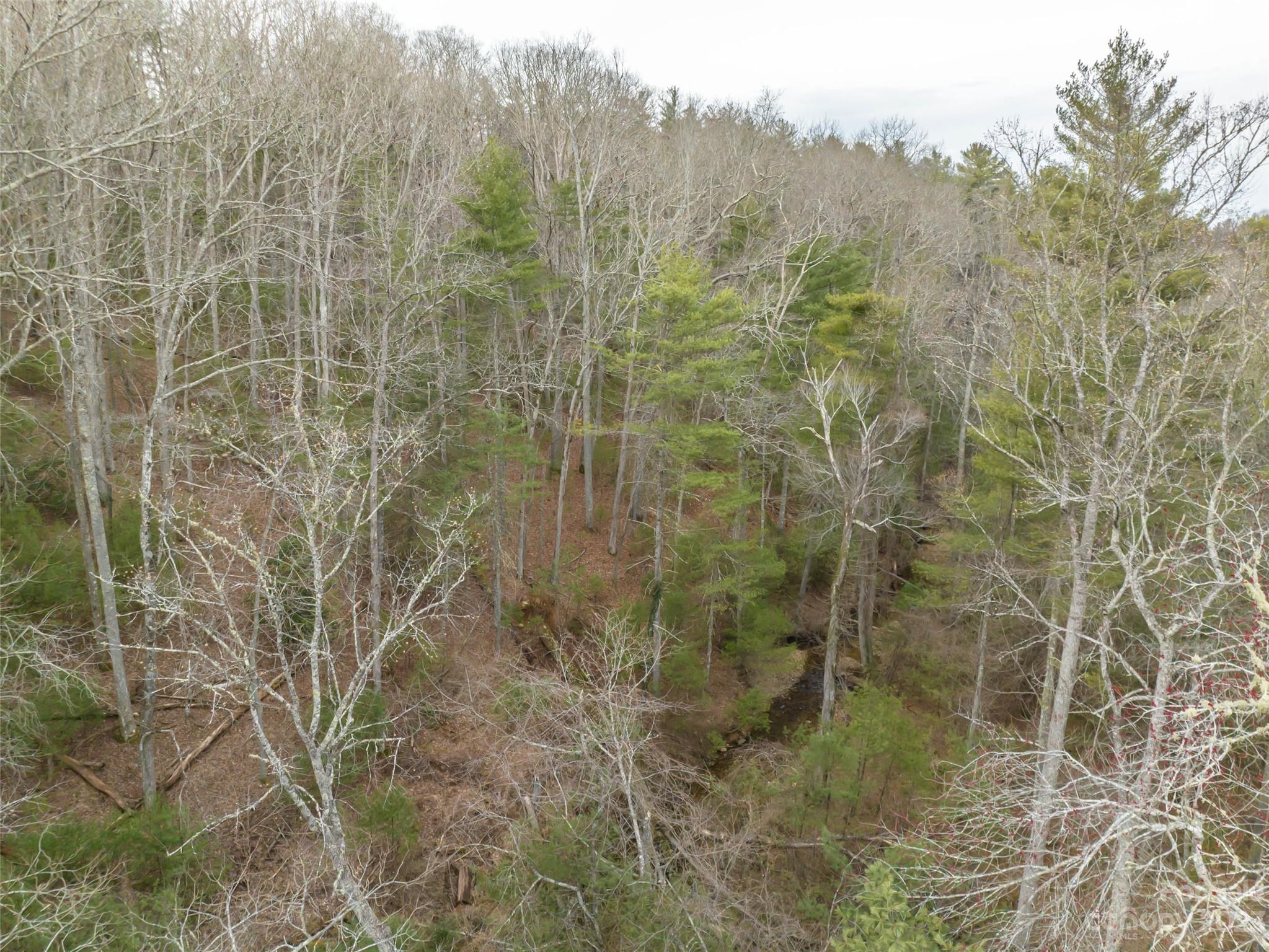 9999 Cedar Hill Drive Asheville NC 28803