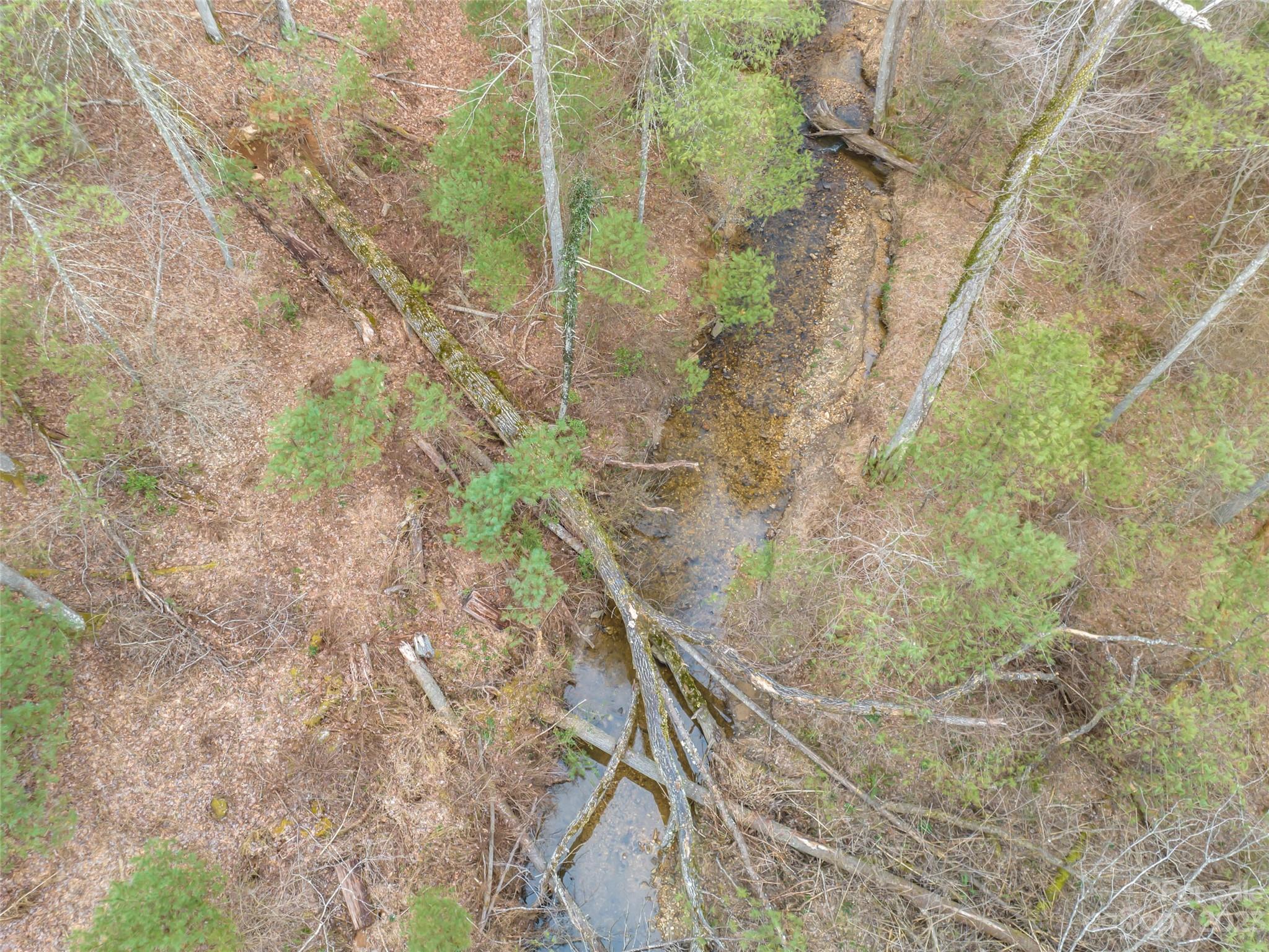 9999 Cedar Hill Drive Asheville NC 28803