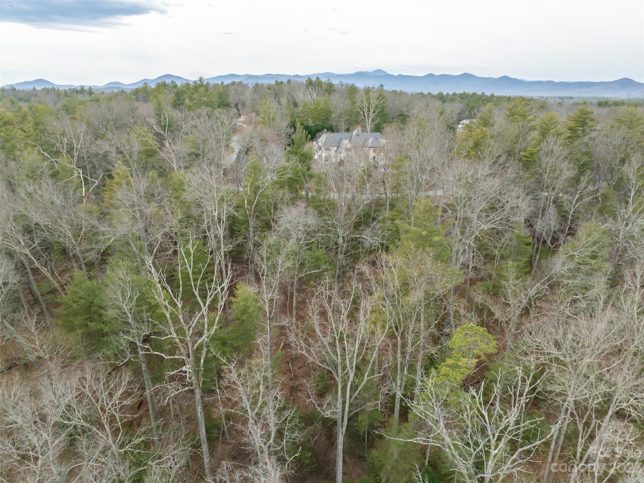 9999 Cedar Hill Drive Asheville NC 28803