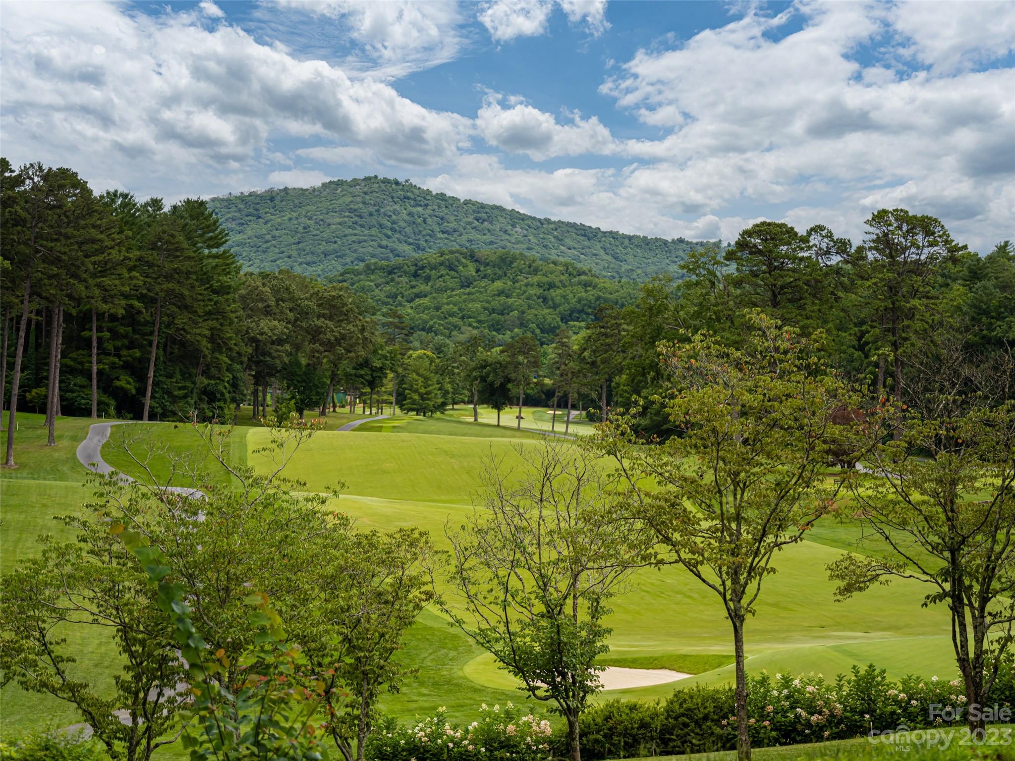 9999 Cedar Hill Drive Asheville NC 28803