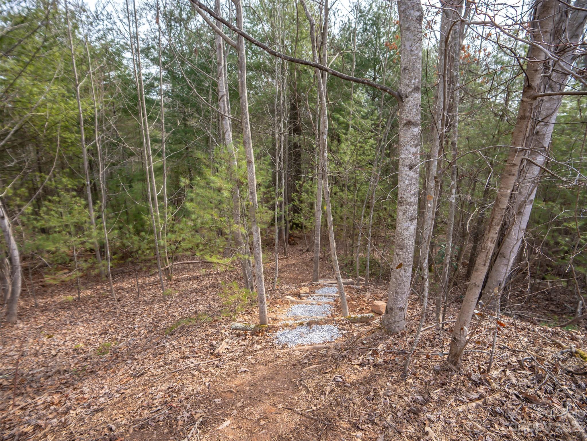 9999 Cedar Hill Drive Asheville NC 28803