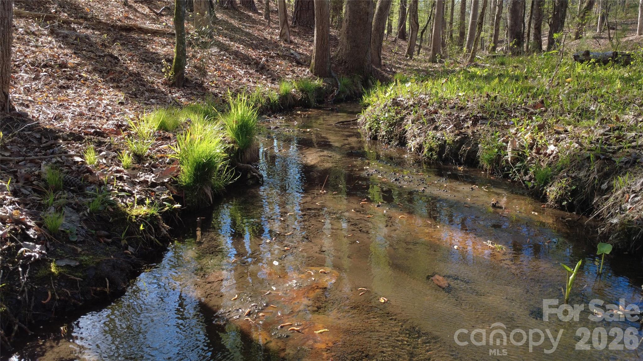 00 Peter Hawk Creek Road Jonesville SC 29353