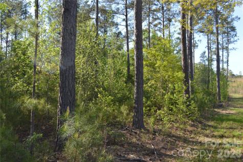 00 Peter Hawk Creek Road Jonesville SC 29353