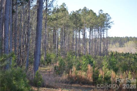 00 Peter Hawk Creek Road Jonesville SC 29353