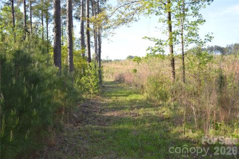 00 Peter Hawk Creek Road Jonesville SC 29353