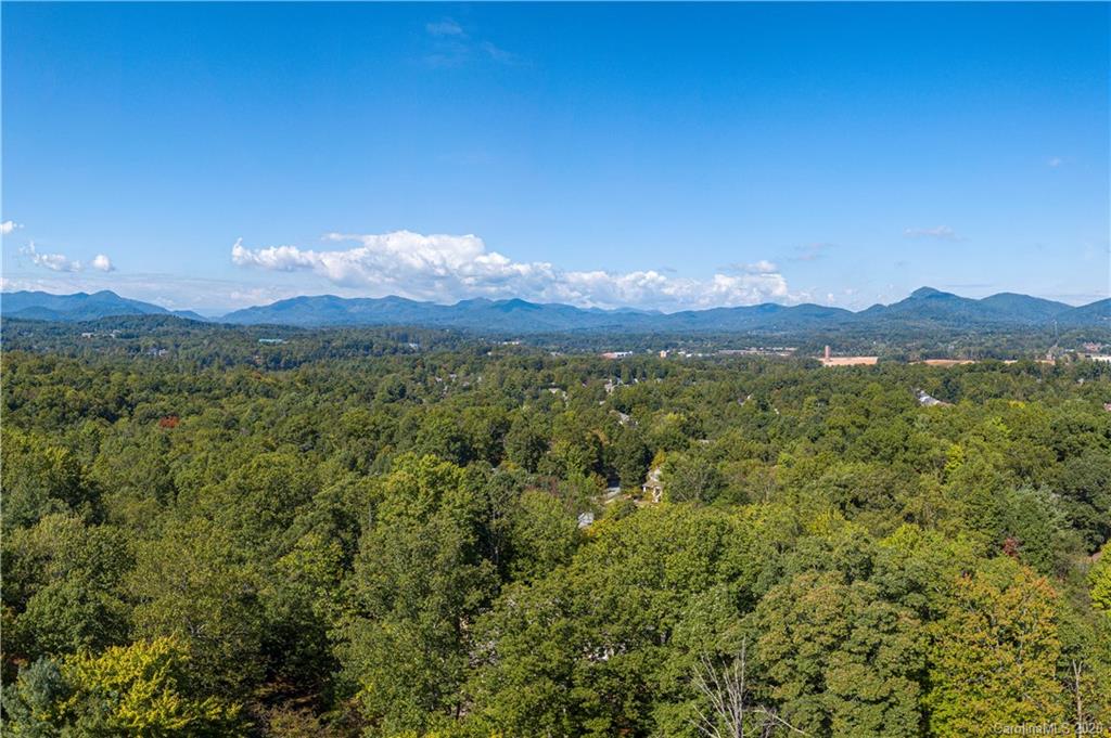 736 Wickhams Fancy Drive Biltmore Lake NC 28715