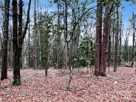 1777 Overbrook Road Kershaw SC 29067