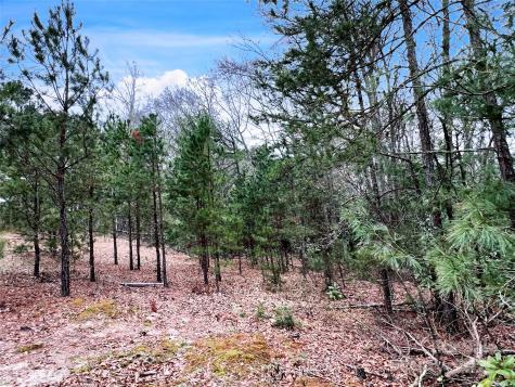 1777 Overbrook Road Kershaw SC 29067