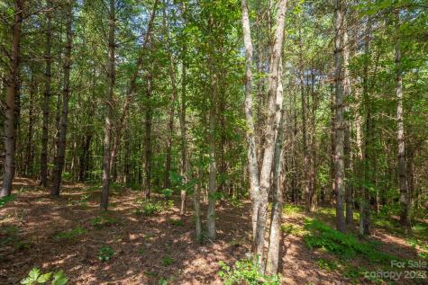 1077 Greene Court Morganton NC 28655