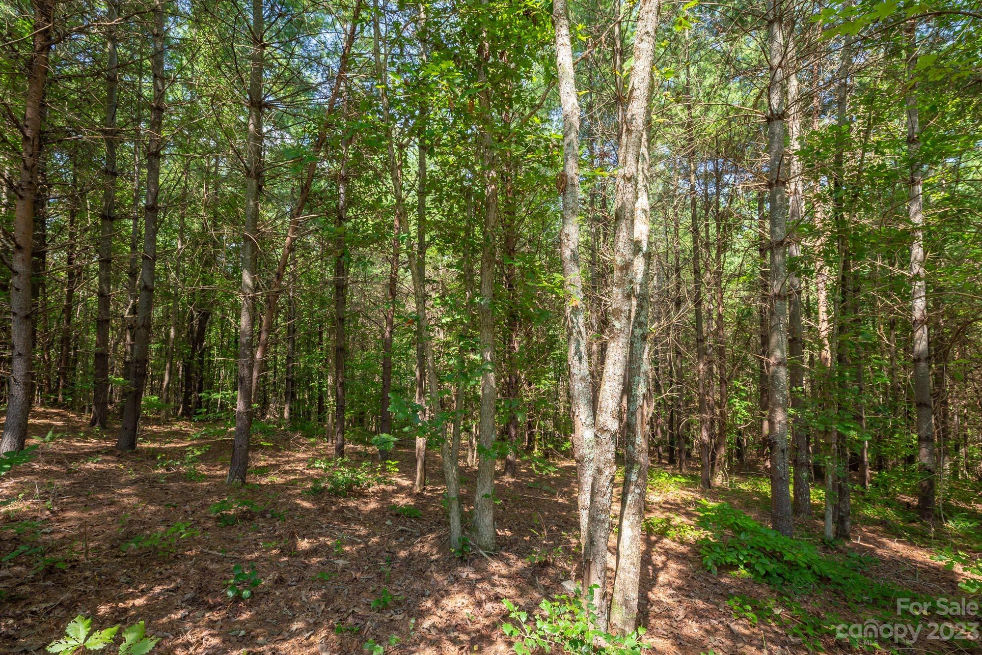 1077 Greene Court Morganton NC 28655