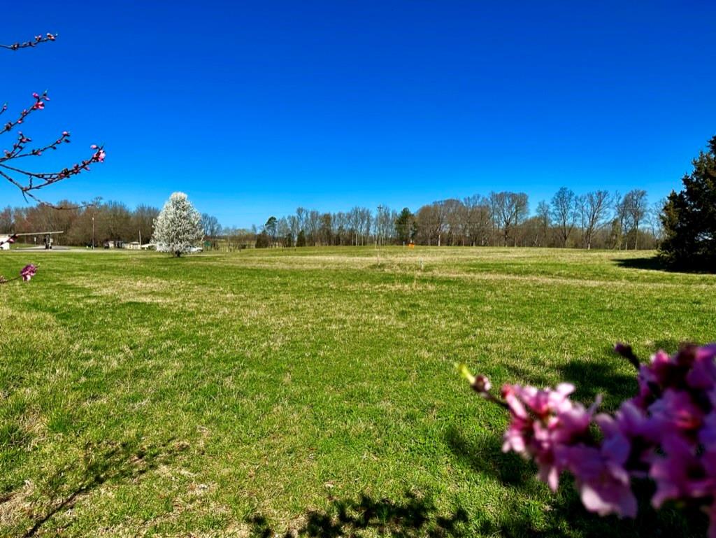 4085 W Nc 152 Highway China Grove NC 28023
