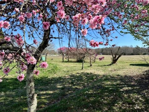 4085 W Nc 152 Highway China Grove NC 28023