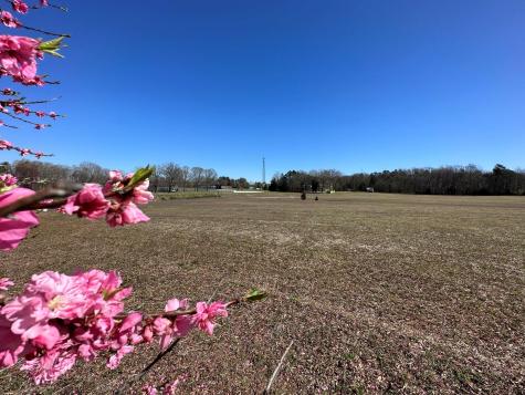 4085 W Nc 152 Highway China Grove NC 28023