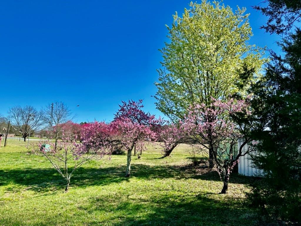 4085 W Nc 152 Highway China Grove NC 28023