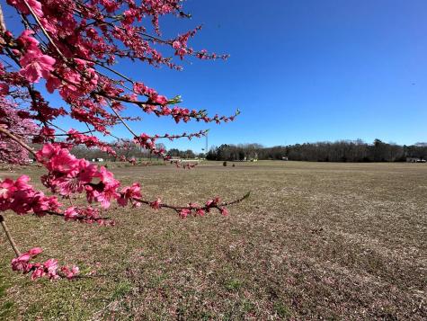 4085 W Nc 152 Highway China Grove NC 28023