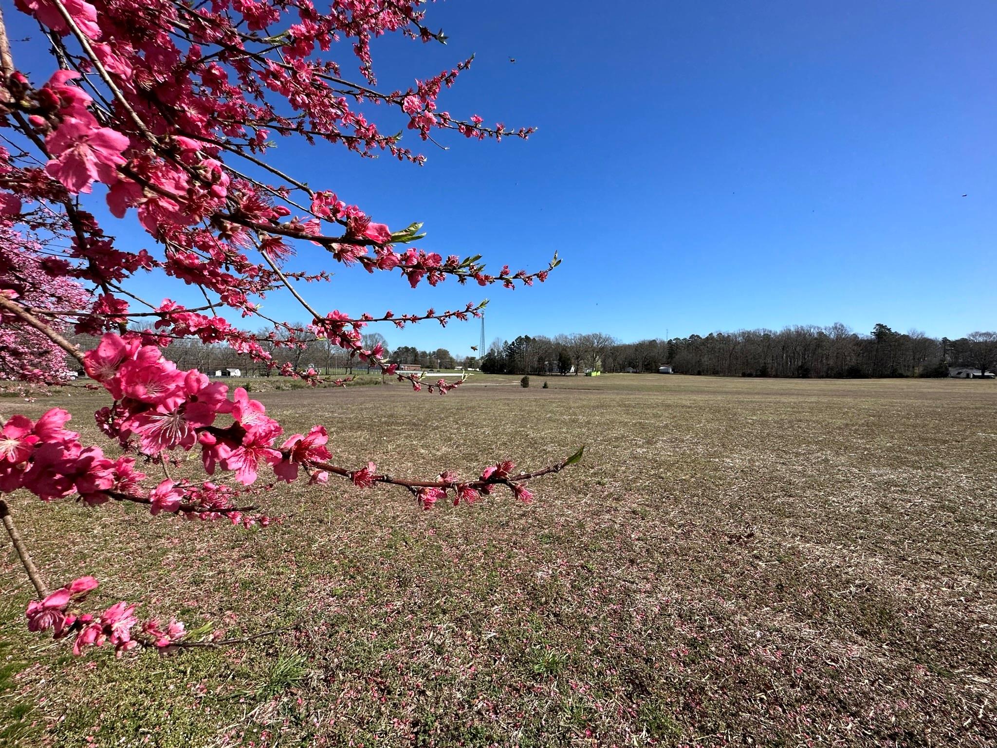 4085 W Nc 152 Highway China Grove NC 28023
