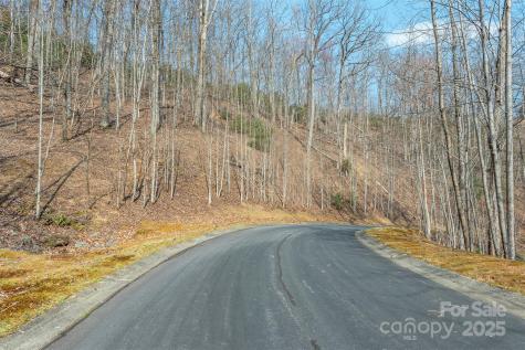 0 Shining Rock Path Horse Shoe NC 28742