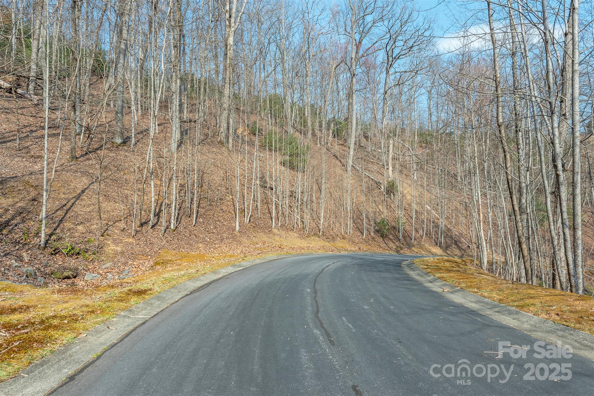 0 Shining Rock Path Horse Shoe NC 28742