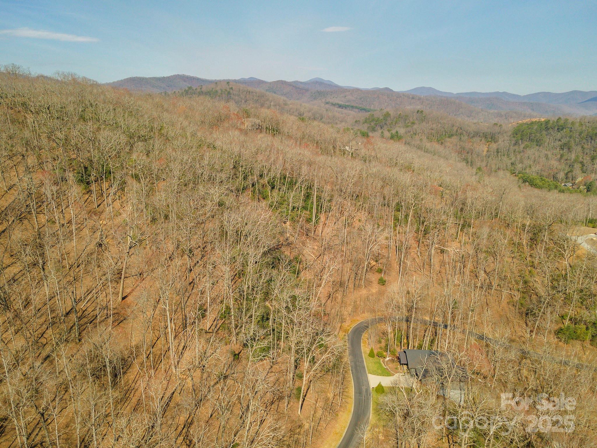 0 Shining Rock Path Horse Shoe NC 28742