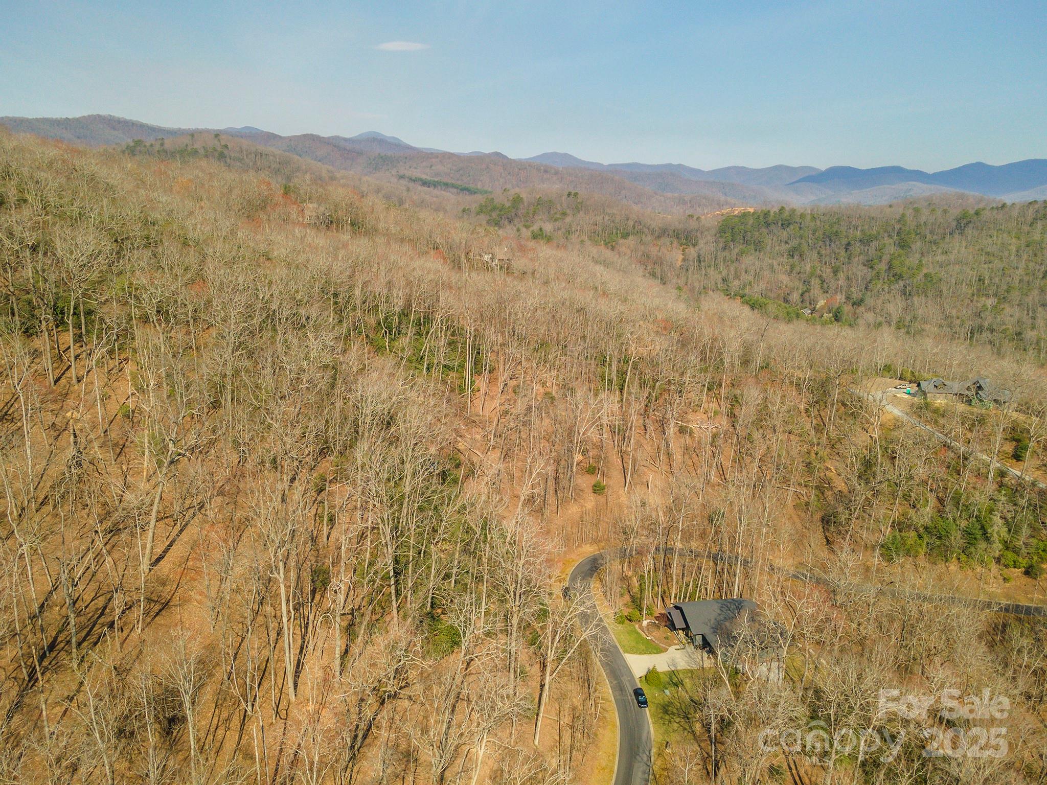 0 Shining Rock Path Horse Shoe NC 28742