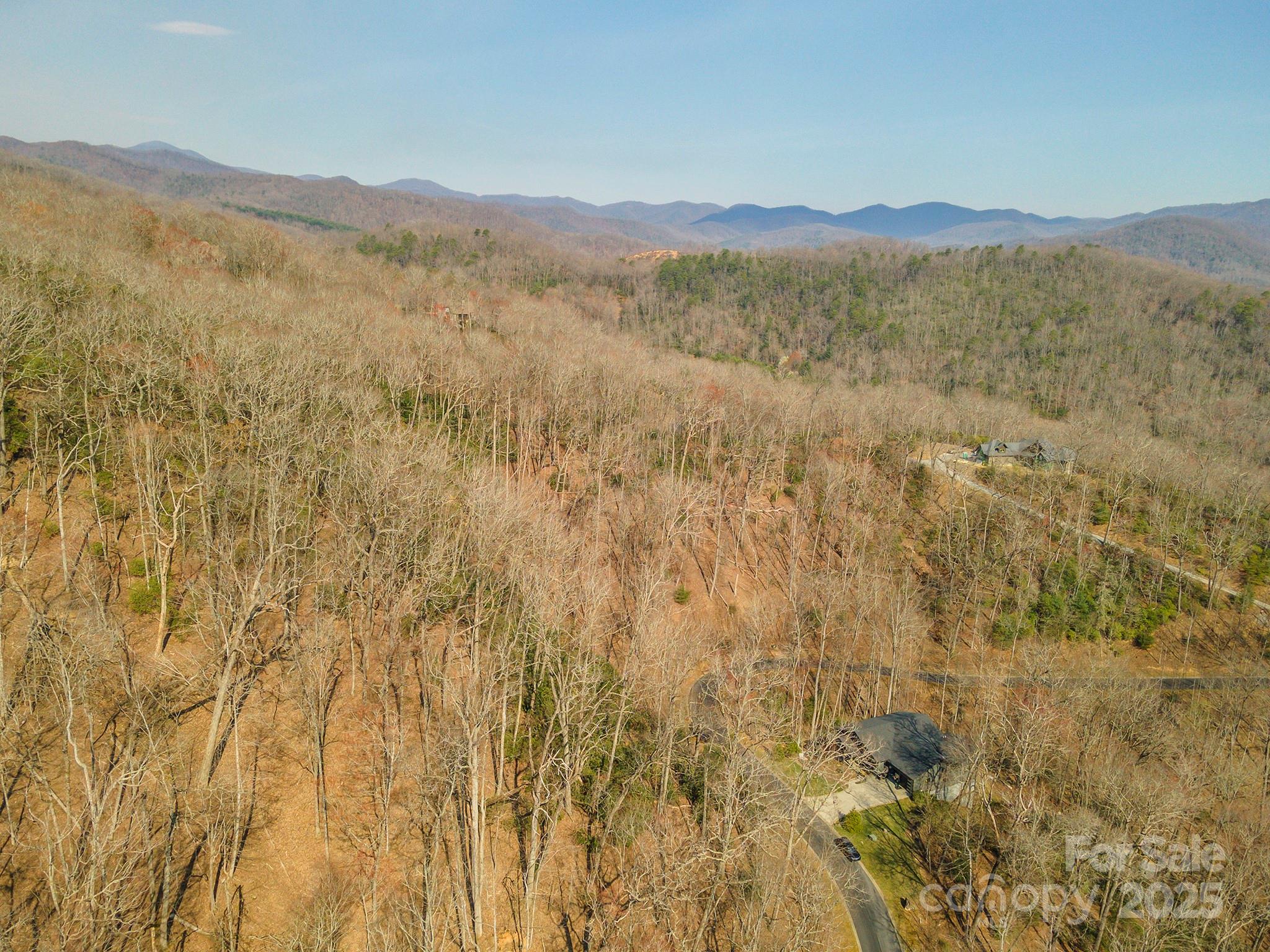 0 Shining Rock Path Horse Shoe NC 28742