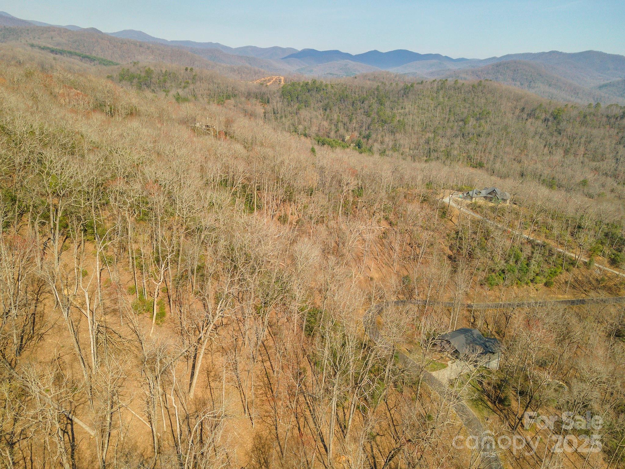 0 Shining Rock Path Horse Shoe NC 28742
