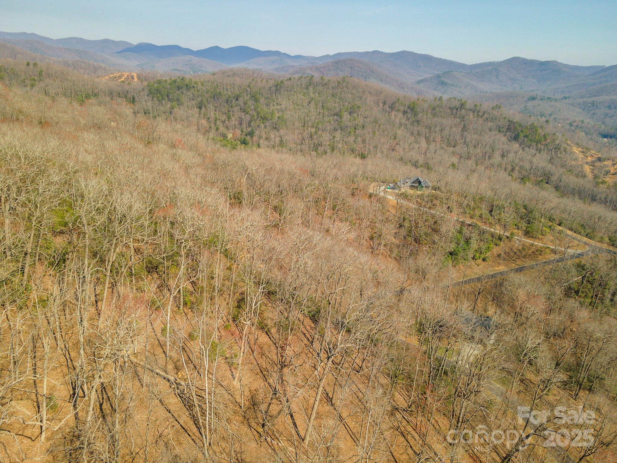 0 Shining Rock Path Horse Shoe NC 28742