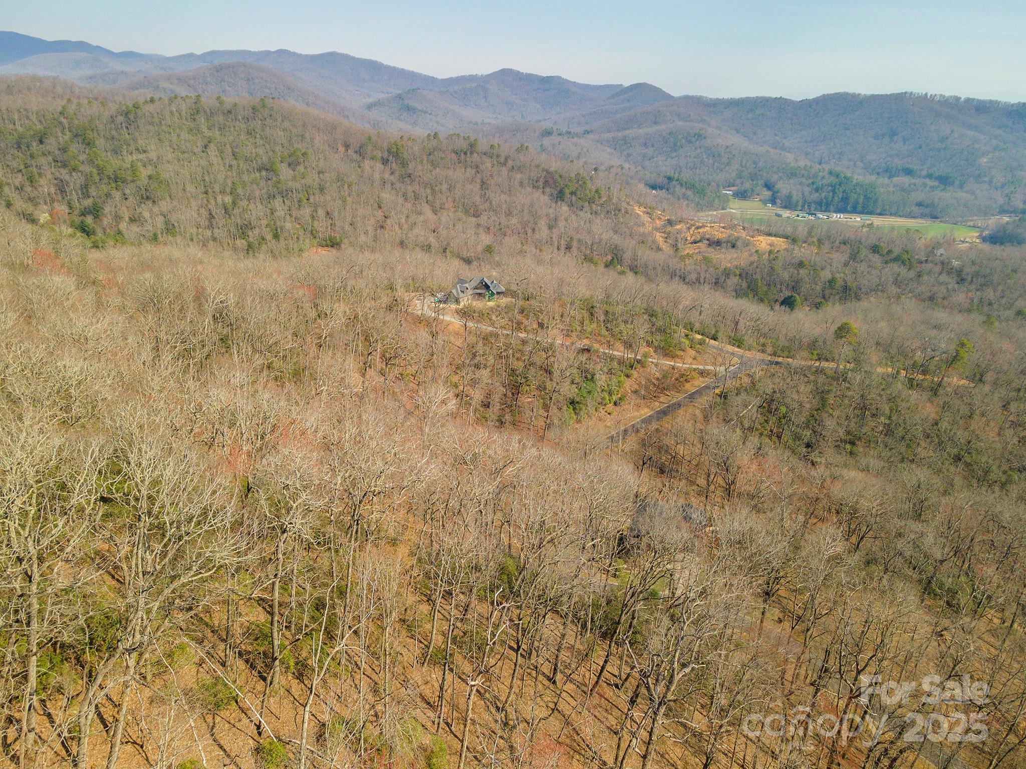 0 Shining Rock Path Horse Shoe NC 28742