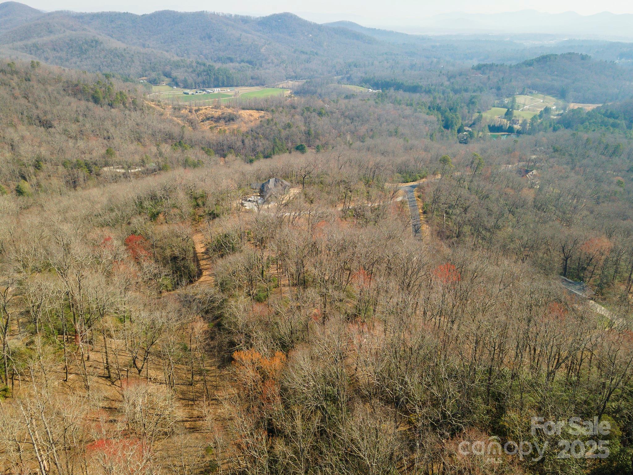 0 Shining Rock Path Horse Shoe NC 28742