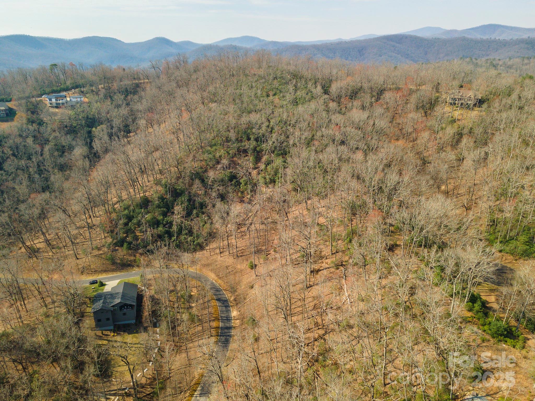 0 Shining Rock Path Horse Shoe NC 28742