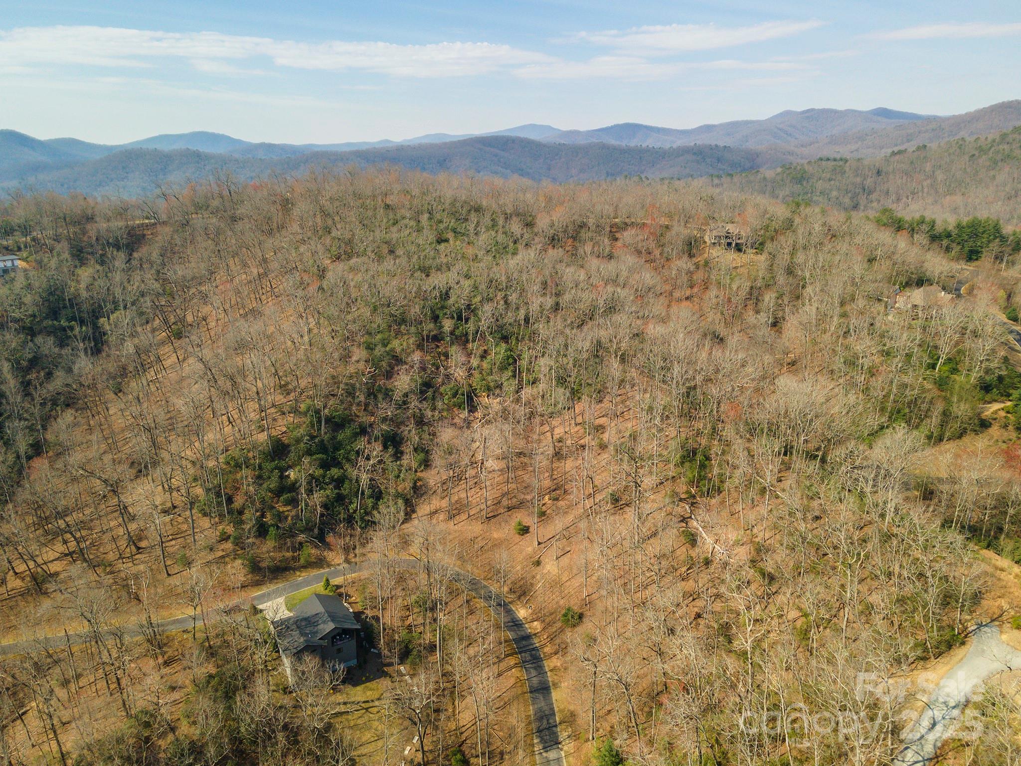 0 Shining Rock Path Horse Shoe NC 28742