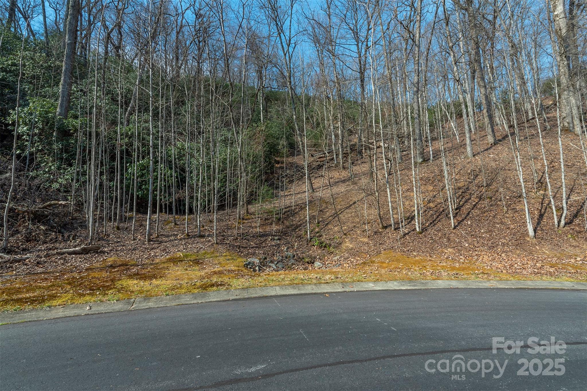 0 Shining Rock Path Horse Shoe NC 28742